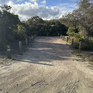 Belingup Campground (Thomas River)