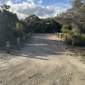 Belingup Campground (Thomas River)