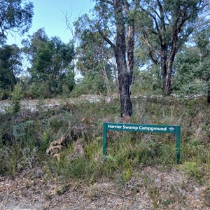 Harriers Swamp Campground