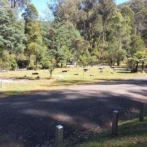 Coopers Creek Campground