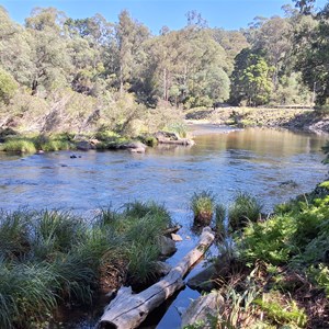 Coopers Creek Campground