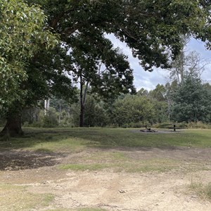 Griffin Park Camp Area