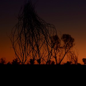 Wolfe Creek Meteorite Crater Camping Area