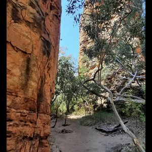 Southern Lost City Camp Area