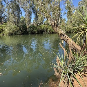 Savannah Way at Robinson River