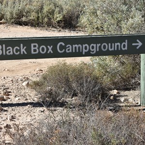Black Box Campground