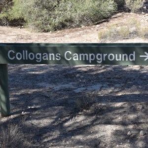 Colligans Campground 