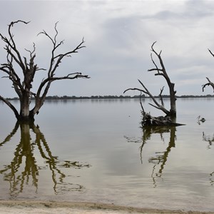 Lake Bonney Reserve