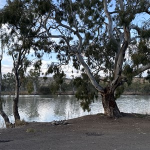 Walker Flat Boat Ramp Reserve