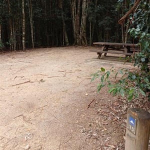 Bellbird Campground