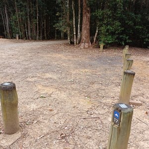 Bellbird Campground
