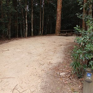 Bellbird Campground