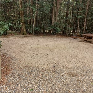Bellbird Campground