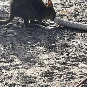 Bakers Point Campground & Boat Ramp