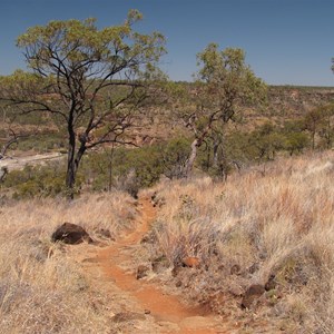 Track into gorge