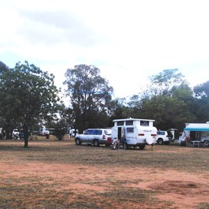 Part of the parking area at Duaringa camping area