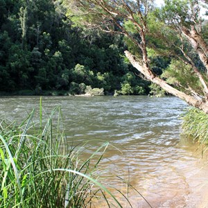 Nymboida River