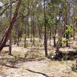Sites at Wollomombi are set among trees