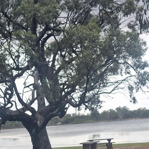 Wooroonook Lake Rest Area