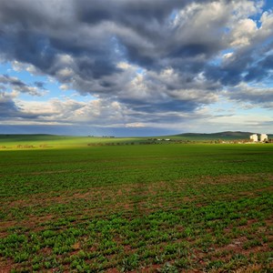 View to Gulnare silos Sept 2025