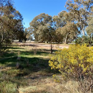 Goyder's Line Memorial Rest Area