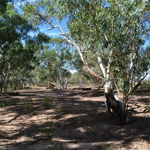 Large camping areas at Bough Shed Hole