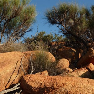 View of Baladjie Rock