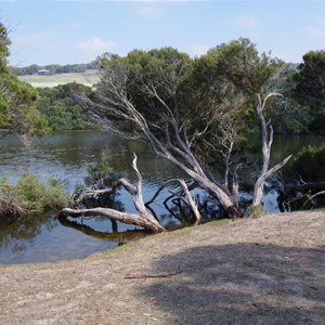 Chapman River East Campground 