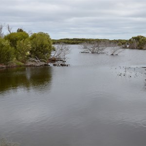Murrays Lagoon