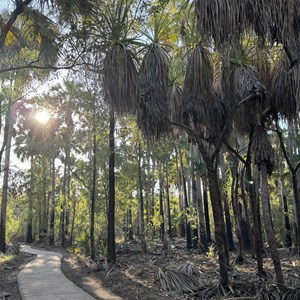 Bitter Springs
