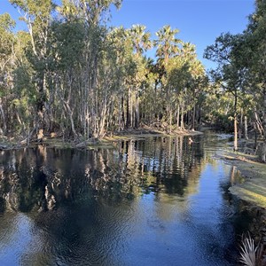 Bitter Springs