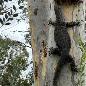 Dunns Swamp Campground