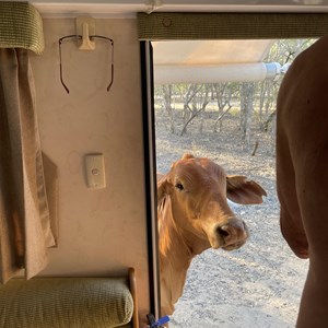 The Lake (Ellendale)