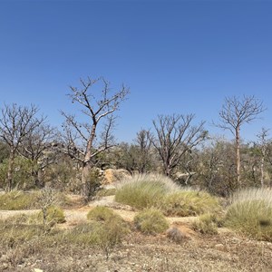 RAAF Boab Quarry