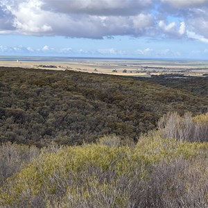 Wharminda Soaks Picnic Area