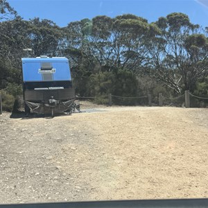 Surfleet Cove Campground