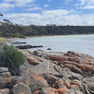 Surfleet Cove Campground