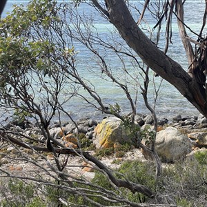 Surfleet Cove Campground