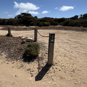 Engine Point Campground