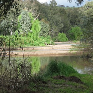 Lachlan River at site