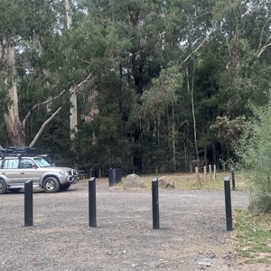 Stevenson Falls Scenic Reserve
