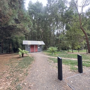 Stevenson Falls Scenic Reserve
