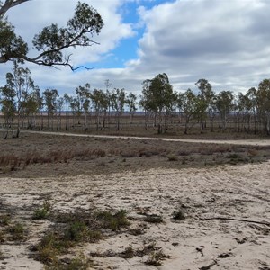 Yaapeet Beach Campground
