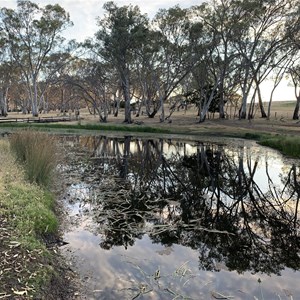 Cavendish Recreation Reserve