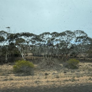 Old Perlubie School Site