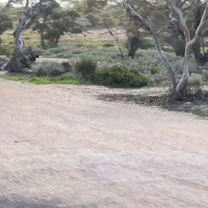 Nundroo East Rest Area