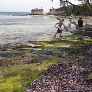 Jervis Bay shoreline