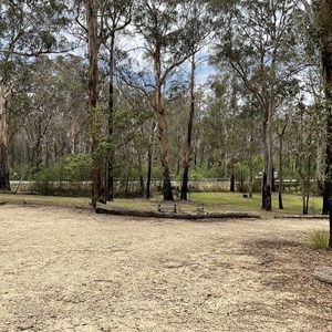 Scrubby Creek Forest Picnic Area