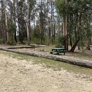 Scrubby Creek Forest Picnic Area