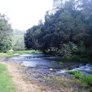 Canungra Creek at the Showgrounds